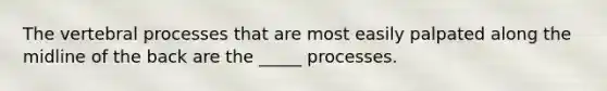 The vertebral processes that are most easily palpated along the midline of the back are the _____ processes.