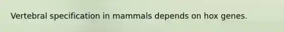 Vertebral specification in mammals depends on hox genes.