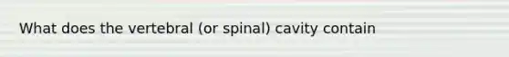 What does the vertebral (or spinal) cavity contain