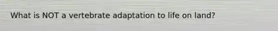 What is NOT a vertebrate adaptation to life on land?