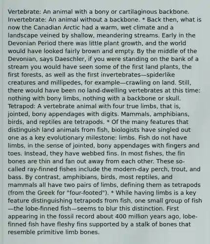 Vertebrate: An animal with a bony or cartilaginous backbone. Invertebrate: An animal without a backbone. * Back then, what is now the Canadian Arctic had a warm, wet climate and a landscape veined by shallow, meandering streams. Early in the Devonian Period there was little plant growth, and the world would have looked fairly brown and empty. By the middle of the Devonian, says Daeschler, if you were standing on the bank of a stream you would have seen some of the first land plants, the first forests, as well as the first invertebrates—spiderlike creatures and millipedes, for example—crawling on land. Still, there would have been no land-dwelling vertebrates at this time: nothing with bony limbs, nothing with a backbone or skull. Tetrapod: A vertebrate animal with four true limbs, that is, jointed, bony appendages with digits. Mammals, amphibians, birds, and reptiles are tetrapods. * Of the many features that distinguish land animals from fish, biologists have singled out one as a key evolutionary milestone: limbs. Fish do not have limbs, in the sense of jointed, bony appendages with fingers and toes. Instead, they have webbed fins. In most fishes, the fin bones are thin and fan out away from each other. These so-called ray-finned fishes include the modern-day perch, trout, and bass. By contrast, amphibians, birds, most reptiles, and mammals all have two pairs of limbs, defining them as tetrapods (from the Greek for "four-footed"). * While having limbs is a key feature distinguishing tetrapods from fish, one small group of fish—the lobe-finned fish—seems to blur this distinction. First appearing in the fossil record about 400 million years ago, lobe-finned fish have fleshy fins supported by a stalk of bones that resemble primitive limb bones.