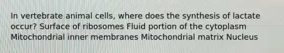 In vertebrate animal cells, where does the synthesis of lactate occur? Surface of ribosomes Fluid portion of the cytoplasm Mitochondrial inner membranes Mitochondrial matrix Nucleus