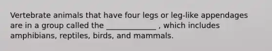 Vertebrate animals that have four legs or leg-like appendages are in a group called the _____________ , which includes amphibians, reptiles, birds, and mammals.