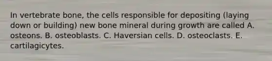 In vertebrate bone, the cells responsible for depositing (laying down or building) new bone mineral during growth are called A. osteons. B. osteoblasts. C. Haversian cells. D. osteoclasts. E. cartilagicytes.