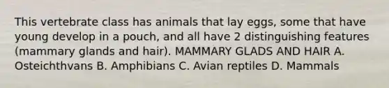 This vertebrate class has animals that lay eggs, some that have young develop in a pouch, and all have 2 distinguishing features (mammary glands and hair). MAMMARY GLADS AND HAIR A. Osteichthvans B. Amphibians C. Avian reptiles D. Mammals