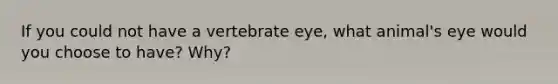 If you could not have a vertebrate eye, what animal's eye would you choose to have? Why?