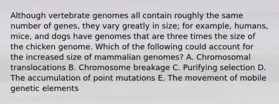 Although vertebrate genomes all contain roughly the same number of genes, they vary greatly in size; for example, humans, mice, and dogs have genomes that are three times the size of the chicken genome. Which of the following could account for the increased size of mammalian genomes? A. Chromosomal translocations B. Chromosome breakage C. Purifying selection D. The accumulation of point mutations E. The movement of mobile genetic elements