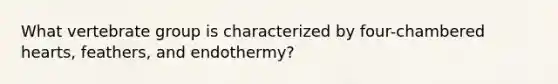 What vertebrate group is characterized by four-chambered hearts, feathers, and endothermy?