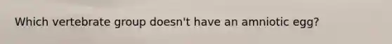 Which vertebrate group doesn't have an amniotic egg?