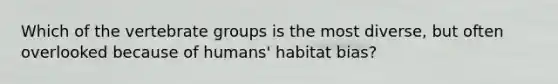 Which of the vertebrate groups is the most diverse, but often overlooked because of humans' habitat bias?