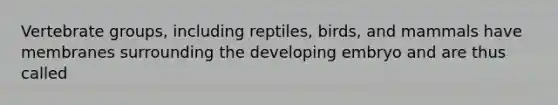 Vertebrate groups, including reptiles, birds, and mammals have membranes surrounding the developing embryo and are thus called