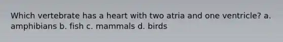 Which vertebrate has a heart with two atria and one ventricle? a. amphibians b. fish c. mammals d. birds