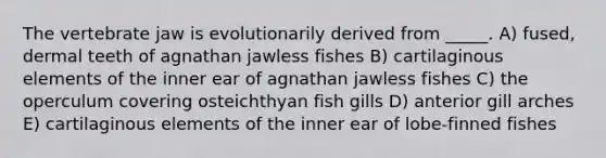 The vertebrate jaw is evolutionarily derived from _____. A) fused, dermal teeth of agnathan jawless fishes B) cartilaginous elements of the inner ear of agnathan jawless fishes C) the operculum covering osteichthyan fish gills D) anterior gill arches E) cartilaginous elements of the inner ear of lobe-finned fishes