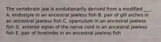 The vertebrate jaw is evolutionarily derived from a modified ___. A. endostyle in an ancestral jawless fish B. pair of gill arches in an ancestral jawless fish C. operculum in an ancestral jawless fish D. anterior egion of the nerve cord in an ancestral jawless fish E. pair of forelimbs in an ancestral jawless fish