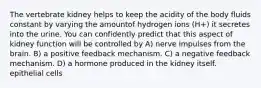 The vertebrate kidney helps to keep the acidity of the body fluids constant by varying the amountof hydrogen ions (H+) it secretes into the urine. You can confidently predict that this aspect of kidney function will be controlled by A) nerve impulses from the brain. B) a positive feedback mechanism. C) a negative feedback mechanism. D) a hormone produced in the kidney itself. epithelial cells