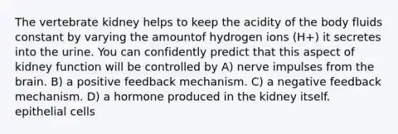 The vertebrate kidney helps to keep the acidity of the body fluids constant by varying the amountof hydrogen ions (H+) it secretes into the urine. You can confidently predict that this aspect of kidney function will be controlled by A) nerve impulses from <a href='https://www.questionai.com/knowledge/kLMtJeqKp6-the-brain' class='anchor-knowledge'>the brain</a>. B) a positive feedback mechanism. C) a negative feedback mechanism. D) a hormone produced in the kidney itself. epithelial cells