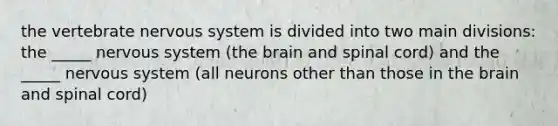 the vertebrate <a href='https://www.questionai.com/knowledge/kThdVqrsqy-nervous-system' class='anchor-knowledge'>nervous system</a> is divided into two main divisions: the _____ nervous system (<a href='https://www.questionai.com/knowledge/kLMtJeqKp6-the-brain' class='anchor-knowledge'>the brain</a> and spinal cord) and the _____ nervous system (all neurons other than those in the brain and spinal cord)