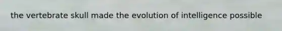 the vertebrate skull made the evolution of intelligence possible