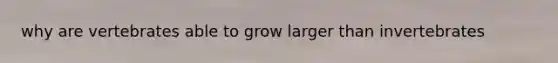 why are vertebrates able to grow larger than invertebrates