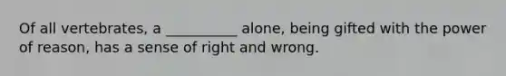 Of all vertebrates, a __________ alone, being gifted with the power of reason, has a sense of right and wrong.