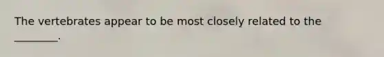 The vertebrates appear to be most closely related to the ________.