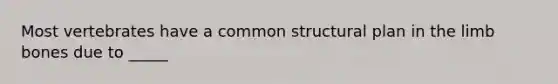 Most vertebrates have a common structural plan in the limb bones due to _____