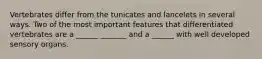 Vertebrates differ from the tunicates and lancelets in several ways. Two of the most important features that differentiated vertebrates are a ______ _______ and a ______ with well developed sensory organs.