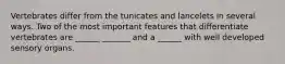 Vertebrates differ from the tunicates and lancelets in several ways. Two of the most important features that differentiate vertebrates are ______ _______ and a ______ with well developed sensory organs.