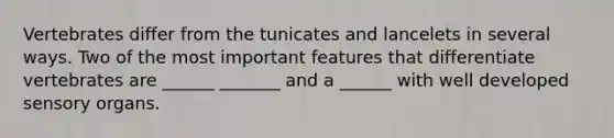 Vertebrates differ from the tunicates and lancelets in several ways. Two of the most important features that differentiate vertebrates are ______ _______ and a ______ with well developed sensory organs.