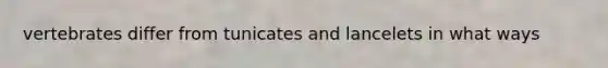 vertebrates differ from tunicates and lancelets in what ways