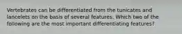 Vertebrates can be differentiated from the tunicates and lancelets on the basis of several features. Which two of the following are the most important differentiating features?