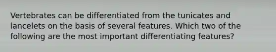 Vertebrates can be differentiated from the tunicates and lancelets on the basis of several features. Which two of the following are the most important differentiating features?