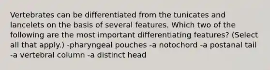 Vertebrates can be differentiated from the tunicates and lancelets on the basis of several features. Which two of the following are the most important differentiating features? (Select all that apply.) -pharyngeal pouches -a notochord -a postanal tail -a <a href='https://www.questionai.com/knowledge/ki4fsP39zf-vertebral-column' class='anchor-knowledge'>vertebral column</a> -a distinct head