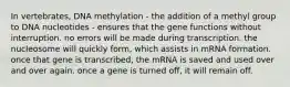 In vertebrates, DNA methylation - the addition of a methyl group to DNA nucleotides - ensures that the gene functions without interruption. no errors will be made during transcription. the nucleosome will quickly form, which assists in mRNA formation. once that gene is transcribed, the mRNA is saved and used over and over again. once a gene is turned off, it will remain off.