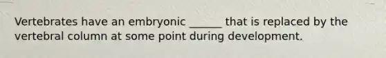 Vertebrates have an embryonic ______ that is replaced by the <a href='https://www.questionai.com/knowledge/ki4fsP39zf-vertebral-column' class='anchor-knowledge'>vertebral column</a> at some point during development.