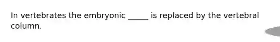 In vertebrates the embryonic _____ is replaced by the <a href='https://www.questionai.com/knowledge/ki4fsP39zf-vertebral-column' class='anchor-knowledge'>vertebral column</a>.