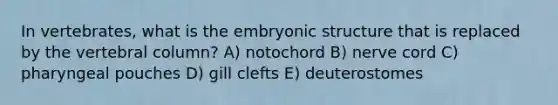 In vertebrates, what is the embryonic structure that is replaced by the vertebral column? A) notochord B) nerve cord C) pharyngeal pouches D) gill clefts E) deuterostomes