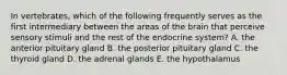 In vertebrates, which of the following frequently serves as the first intermediary between the areas of the brain that perceive sensory stimuli and the rest of the endocrine system? A. the anterior pituitary gland B. the posterior pituitary gland C. the thyroid gland D. the adrenal glands E. the hypothalamus