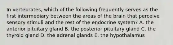 In vertebrates, which of the following frequently serves as the first intermediary between the areas of the brain that perceive sensory stimuli and the rest of the endocrine system? A. the anterior pituitary gland B. the posterior pituitary gland C. the thyroid gland D. the adrenal glands E. the hypothalamus