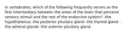 In vertebrates, which of the following frequently serves as the first intermediary between the areas of the brain that perceive sensory stimuli and the rest of the endocrine system? -the hypothalamus -the posterior pituitary gland -the thyroid gland -the adrenal glands -the anterior pituitary gland