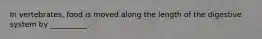 In vertebrates, food is moved along the length of the digestive system by __________.
