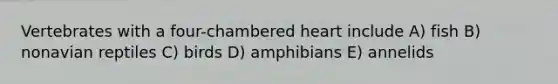 Vertebrates with a four-chambered heart include A) fish B) nonavian reptiles C) birds D) amphibians E) annelids