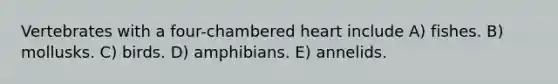 Vertebrates with a four-chambered heart include A) fishes. B) mollusks. C) birds. D) amphibians. E) annelids.