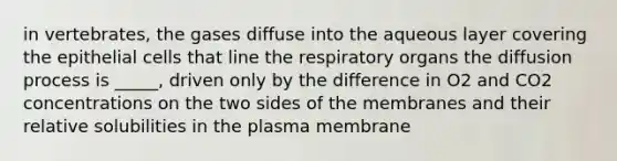 in vertebrates, the gases diffuse into the aqueous layer covering the epithelial cells that line the respiratory organs the diffusion process is _____, driven only by the difference in O2 and CO2 concentrations on the two sides of the membranes and their relative solubilities in the plasma membrane