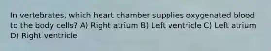 In vertebrates, which heart chamber supplies oxygenated blood to the body cells? A) Right atrium B) Left ventricle C) Left atrium D) Right ventricle