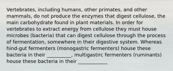 Vertebrates, including humans, other primates, and other mammals, do not produce the enzymes that digest cellulose, the main carbohydrate found in plant materials. In order for vertebrates to extract energy from cellulose they must house microbes (bacteria) that can digest cellulose through the process of fermentation, somewhere in their digestive system. Whereas hind-gut fermenters (monogastric fermenters) house these bacteria in their __________, multigastirc fermenters (ruminants) house these bacteria in their ____________