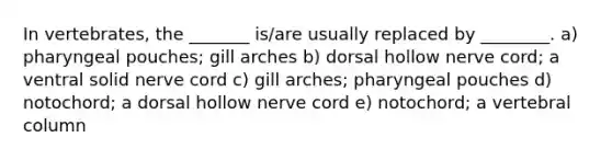 In vertebrates, the _______ is/are usually replaced by ________. a) pharyngeal pouches; gill arches b) dorsal hollow nerve cord; a ventral solid nerve cord c) gill arches; pharyngeal pouches d) notochord; a dorsal hollow nerve cord e) notochord; a vertebral column