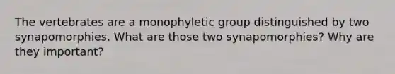 The vertebrates are a monophyletic group distinguished by two synapomorphies. What are those two synapomorphies? Why are they important?