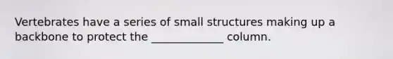 Vertebrates have a series of small structures making up a backbone to protect the _____________ column.