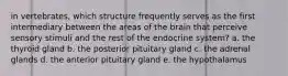 in vertebrates, which structure frequently serves as the first intermediary between the areas of the brain that perceive sensory stimuli and the rest of the endocrine system? a. the thyroid gland b. the posterior pituitary gland c. the adrenal glands d. the anterior pituitary gland e. the hypothalamus